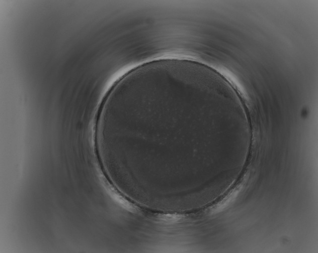 X0000094820854200711241506