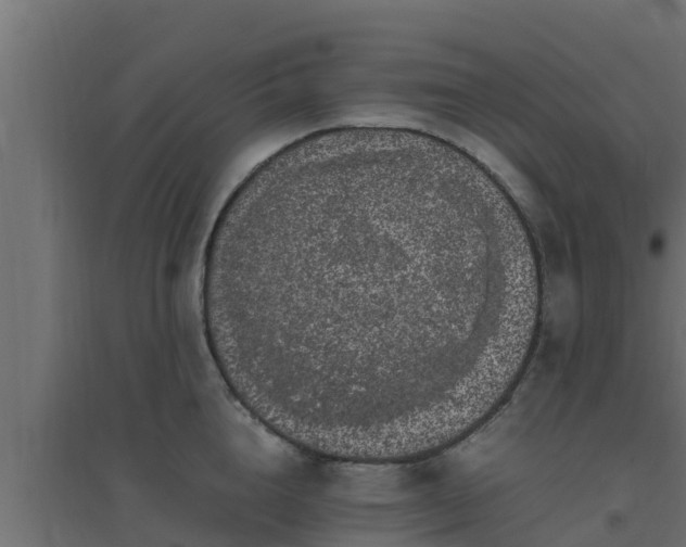 X0000094820856200711241506