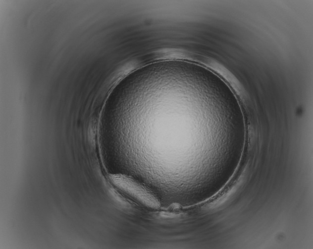 X0000094820857200711241506