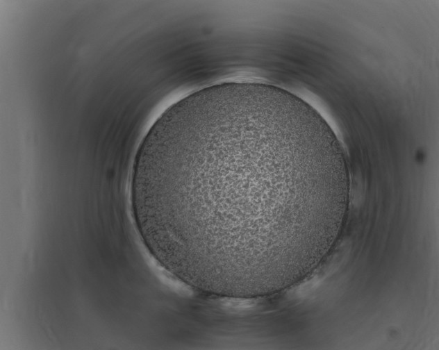 X0000094820861200711241507