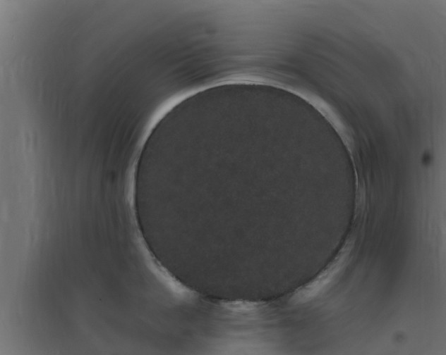 X0000094820862200711241507