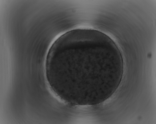 X0000094820864200711241507