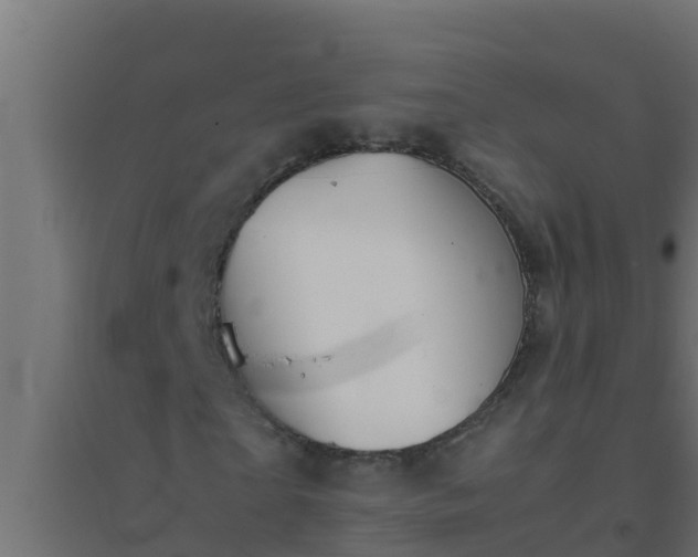 X0000094820865200711241506