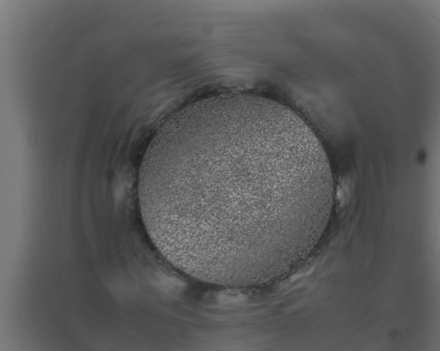 X0000094820867200711241506