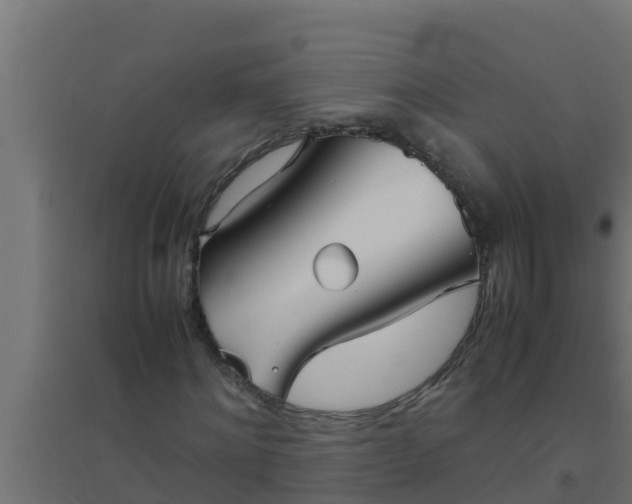 X0000094820868200711241506