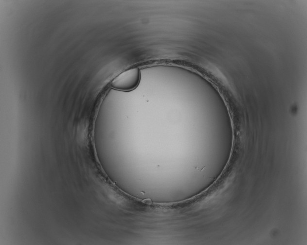 X0000094820873200711241506