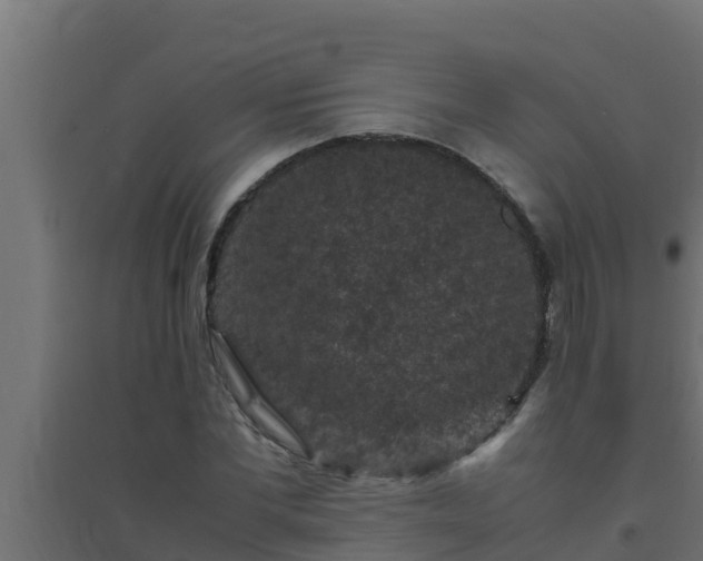 X0000094820877200711241506