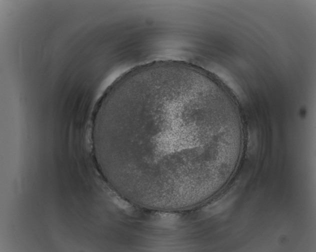 X0000094820878200711241506