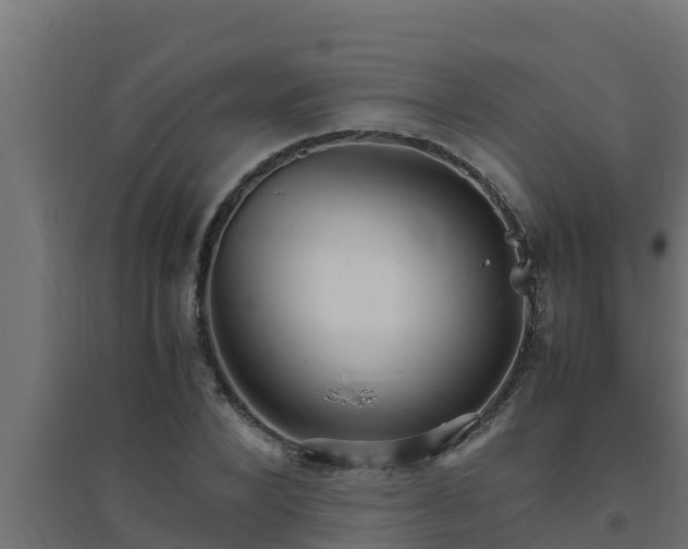 X0000094820880200711241506