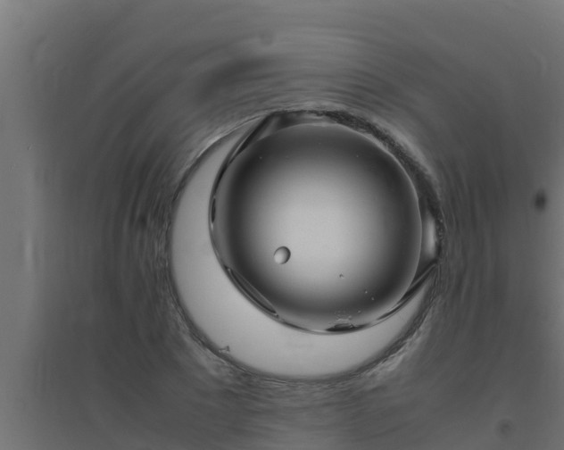 X0000094820881200711241506