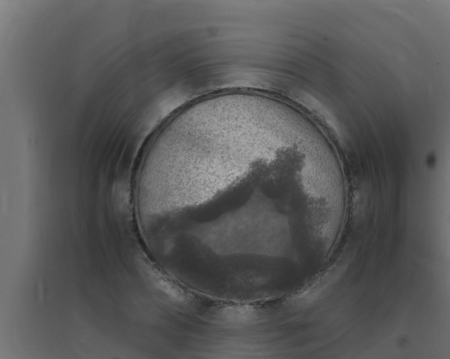 X0000094820882200711241506