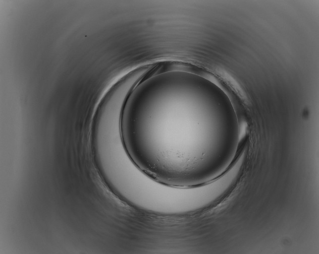 X0000094820884200711241506