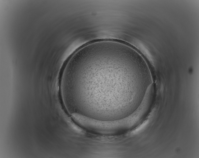 X0000094820885200711241506