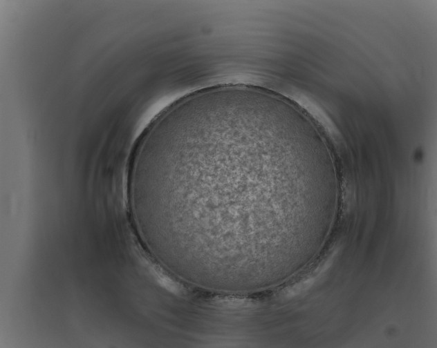 X0000094820886200711241506