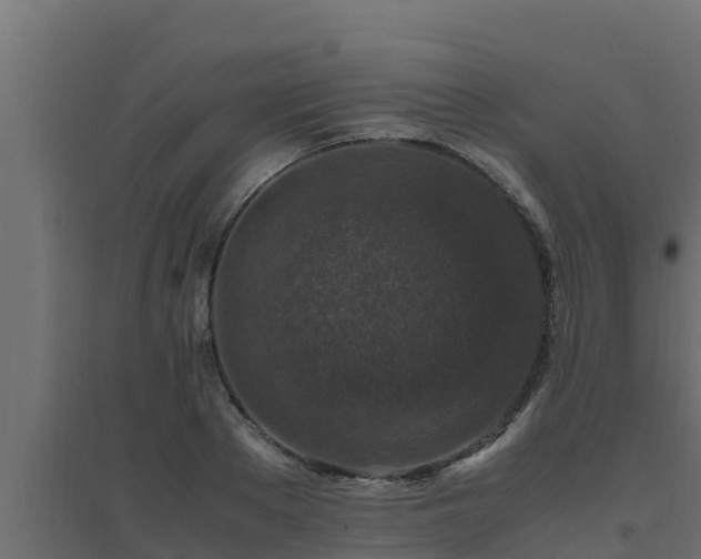 X0000094820889200711241506