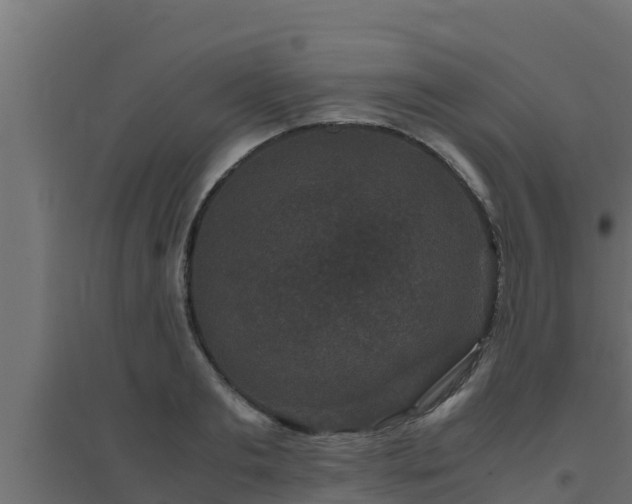 X0000094820893200711241506