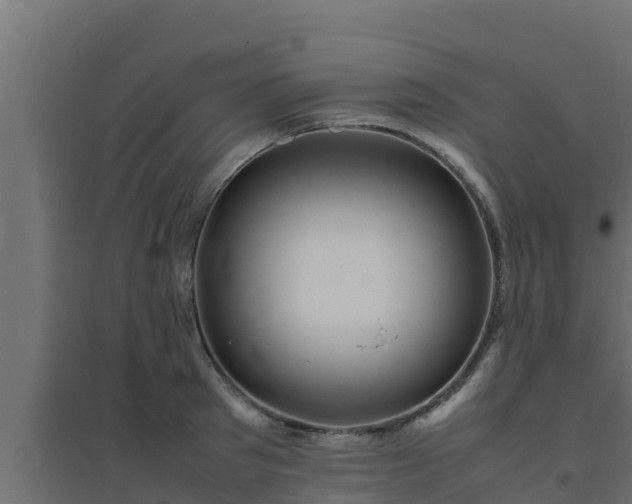 X0000094820897200711241505