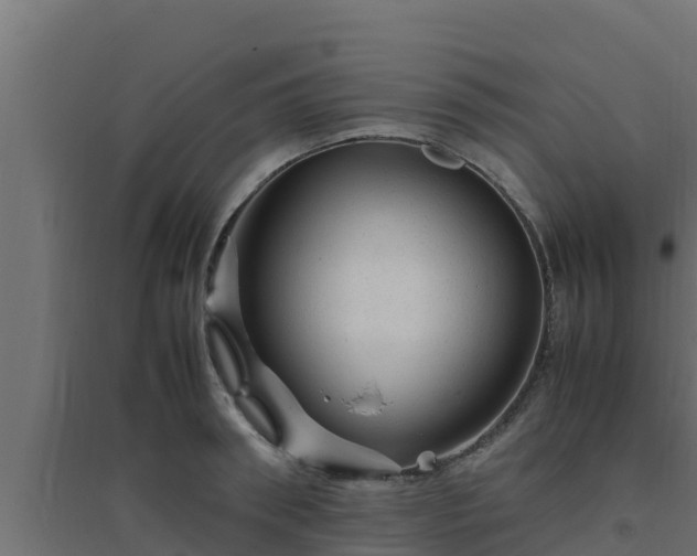 X0000094820898200711241505