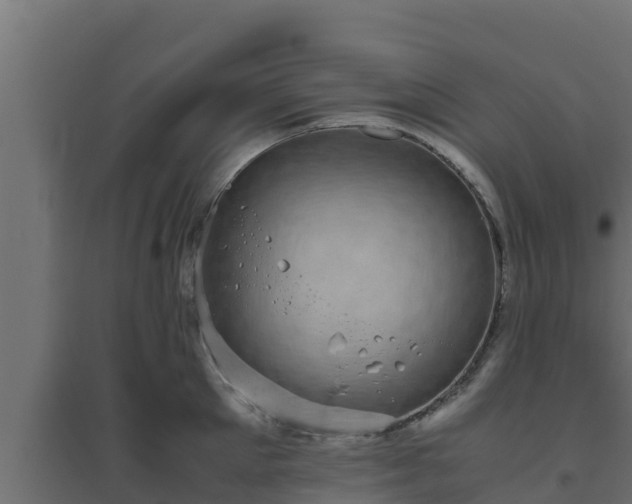 X0000094820905200711241505