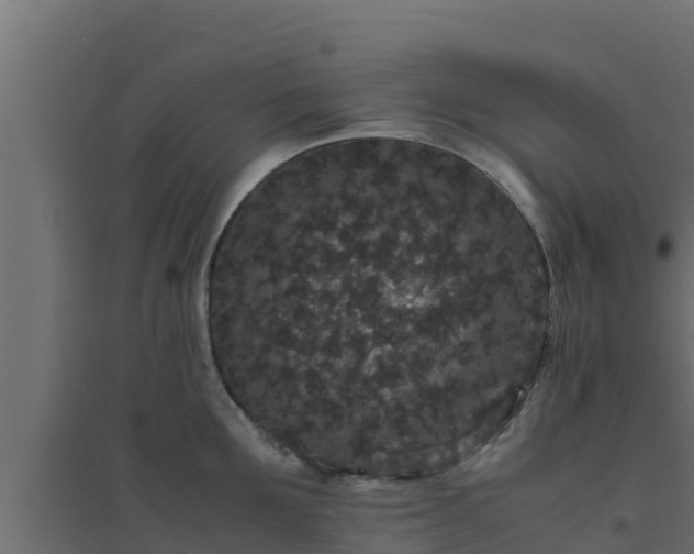 X0000094820907200711241505
