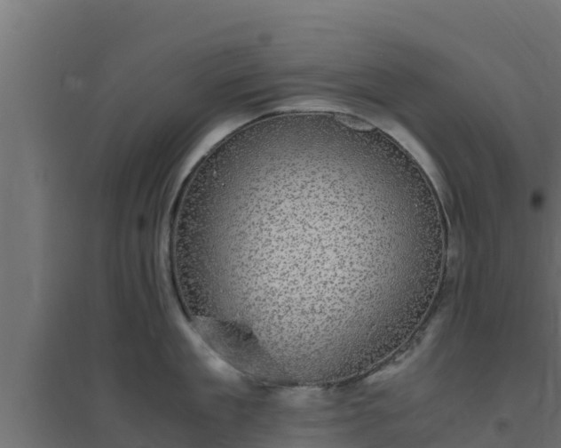 X0000094820909200711241505