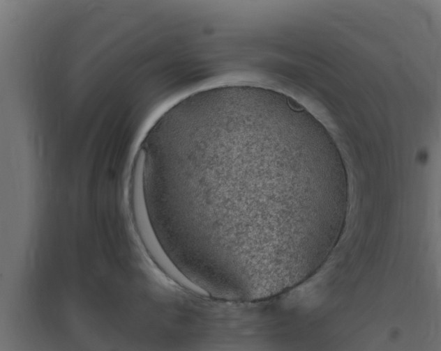 X0000094820912200711241505