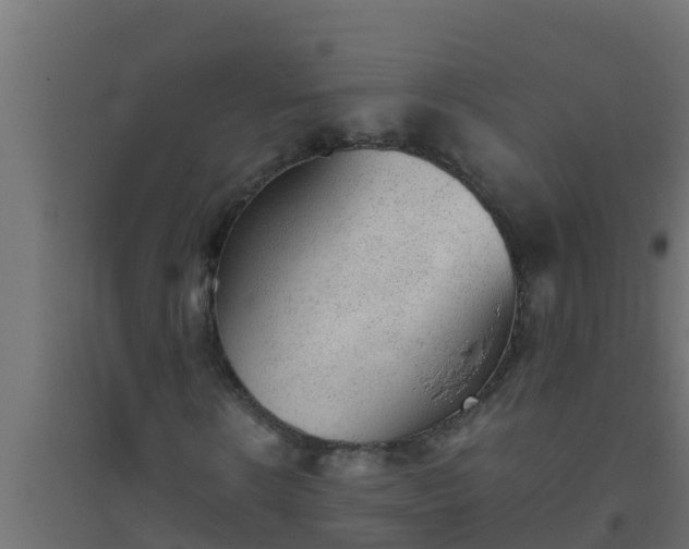 X0000094820914200711241505