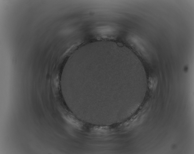 X0000094820915200711241505