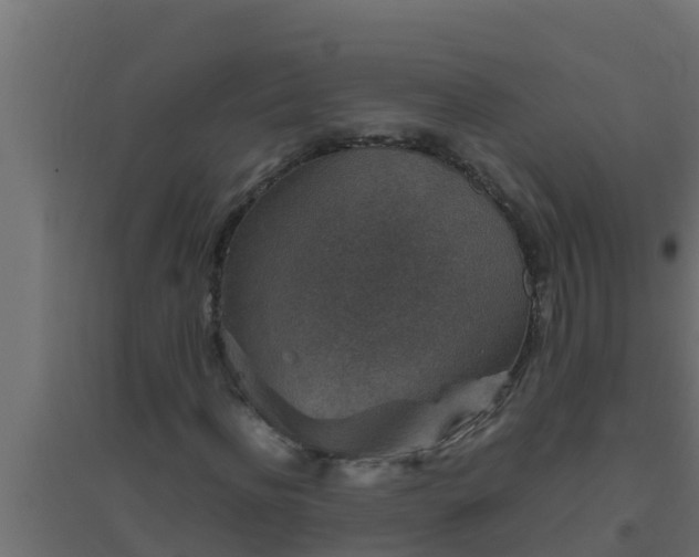 X0000094820916200711241505