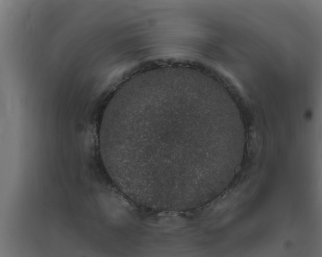 X0000094820918200711241505