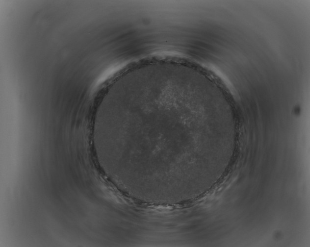 X0000094820919200711241505