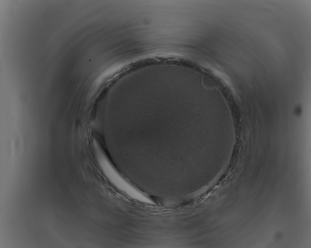X0000094820920200711241505
