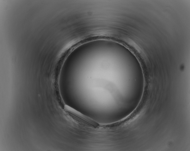 X0000094820922200711241505