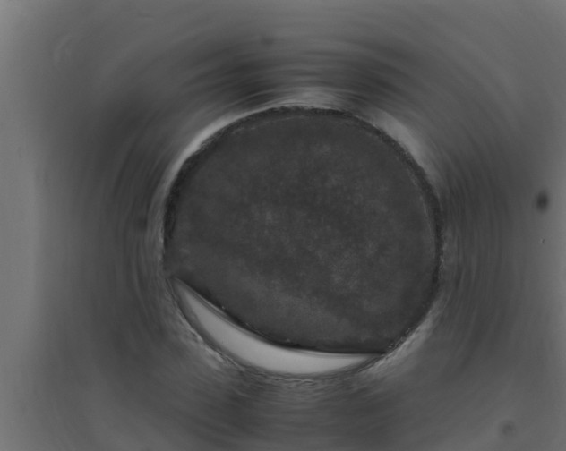 X0000094820923200711241505