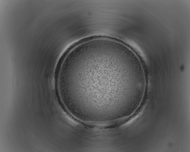 X0000094820924200711241505