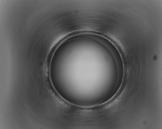 X0000094820925200711241505