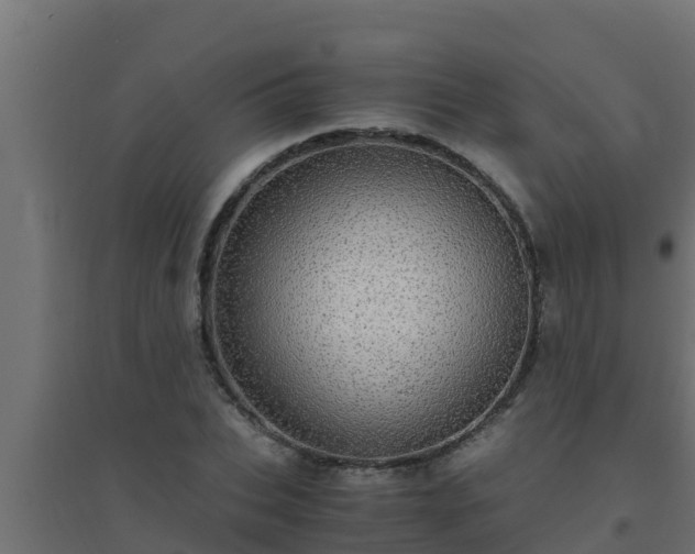 X0000094820927200711241505