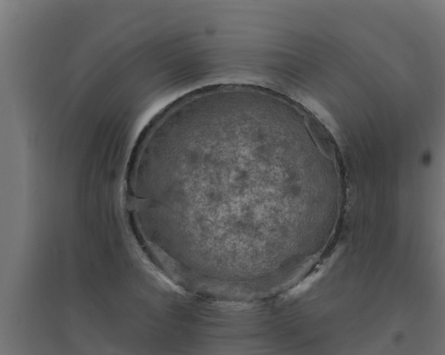 X0000094820928200711241505