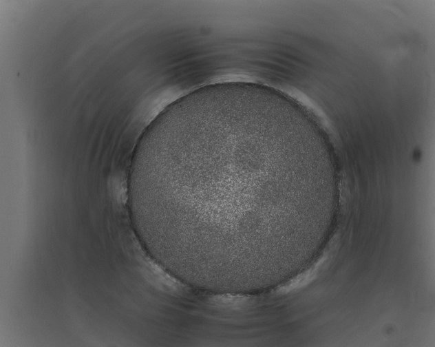 X0000094820929200711241505