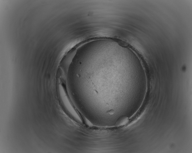 X0000094820930200711241505