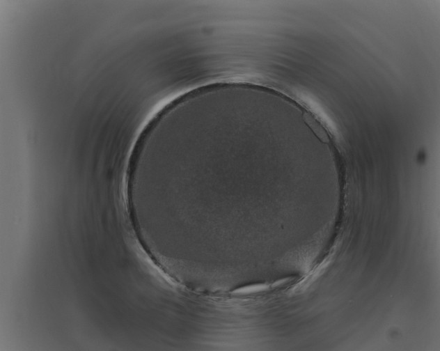 X0000094820932200711241505