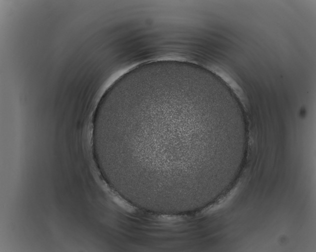 X0000094820933200711241505