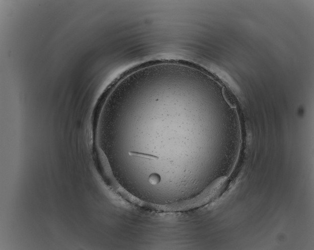 X0000094820934200711241505