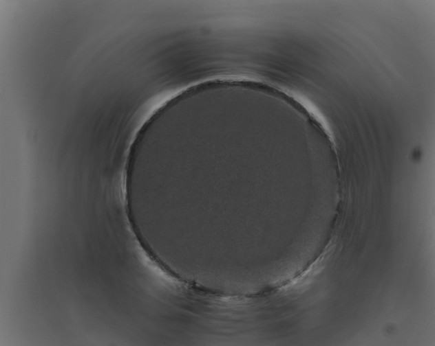 X0000094820935200711241505