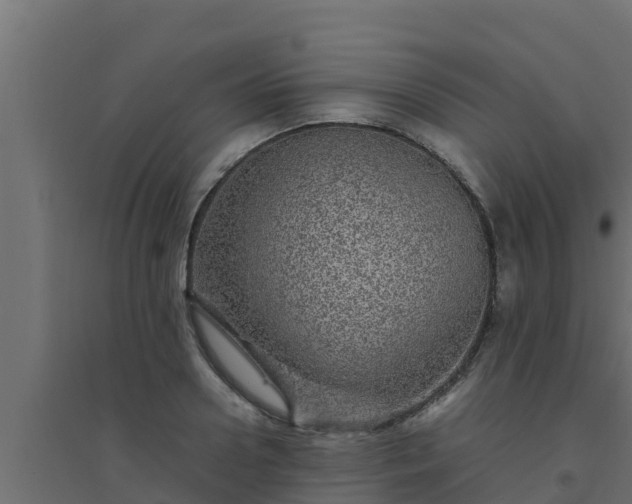 X0000094820938200711241505