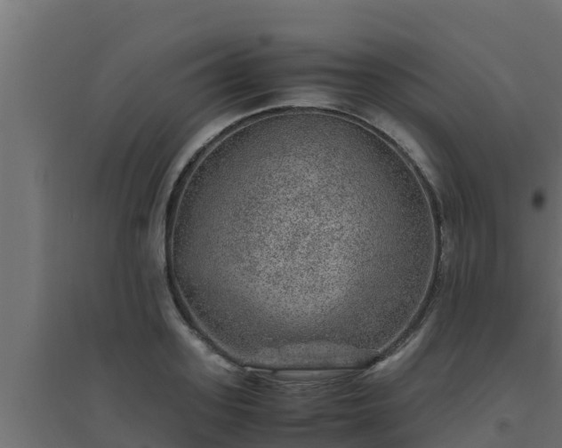 X0000094820939200711241505
