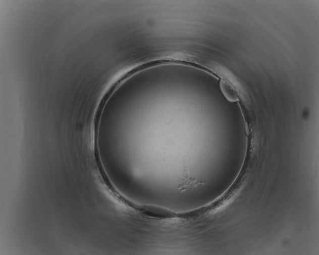 X0000094820940200711241505