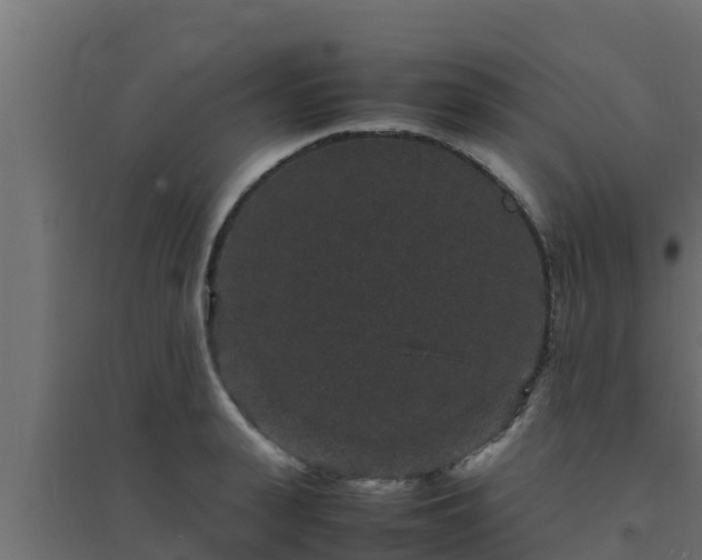 X0000094820943200711241505