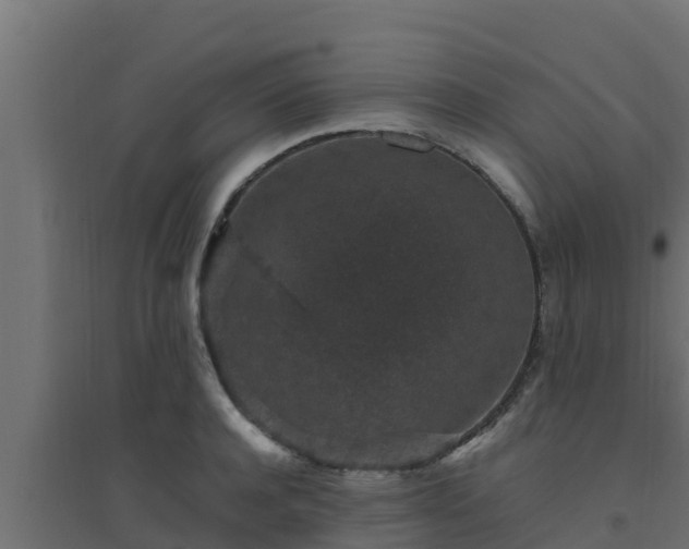 X0000094820944200711241505