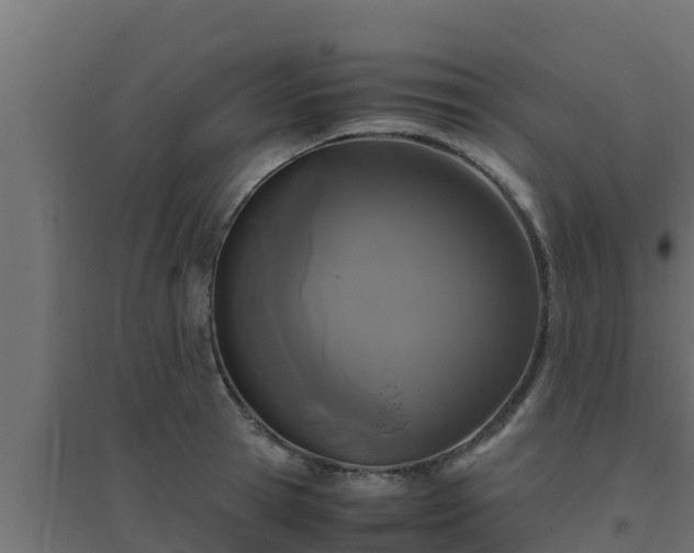 X0000094820945200711241505